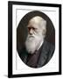 Charles Darwin, British Naturalist, 1878-Lock & Whitfield-Framed Photographic Print