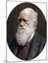 Charles Darwin, British Naturalist, 1878-Lock & Whitfield-Mounted Photographic Print