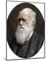 Charles Darwin, British Naturalist, 1878-Lock & Whitfield-Mounted Photographic Print