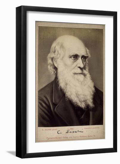 Charles Darwin, British Naturalist, C1860S-C1870S-Ernst Hader-Framed Giclee Print