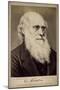 Charles Darwin, British Naturalist, C1860S-C1870S-Ernst Hader-Mounted Giclee Print