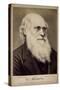 Charles Darwin, British Naturalist, C1860S-C1870S-Ernst Hader-Stretched Canvas