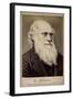 Charles Darwin, British Naturalist, C1860S-C1870S-Ernst Hader-Framed Giclee Print