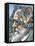 Charles Darwin, British Naturalist-Bill Sanderson-Framed Stretched Canvas