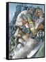 Charles Darwin, British Naturalist-Bill Sanderson-Framed Stretched Canvas