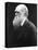 Charles Darwin, C.1870 (B/W Photo)-Julia Margaret Cameron-Stretched Canvas