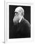 Charles Darwin, C.1870 (B/W Photo)-Julia Margaret Cameron-Framed Giclee Print