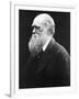 Charles Darwin, C.1870 (B/W Photo)-Julia Margaret Cameron-Framed Giclee Print