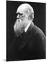 Charles Darwin, C.1870 (B/W Photo)-Julia Margaret Cameron-Mounted Giclee Print