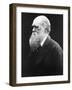 Charles Darwin, C.1870 (B/W Photo)-Julia Margaret Cameron-Framed Giclee Print