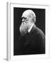 Charles Darwin, C.1870 (B/W Photo)-Julia Margaret Cameron-Framed Giclee Print