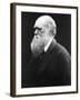 Charles Darwin, C.1870 (B/W Photo)-Julia Margaret Cameron-Framed Giclee Print