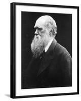 Charles Darwin, C.1870 (B/W Photo)-Julia Margaret Cameron-Framed Giclee Print