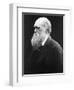 Charles Darwin, C.1870 (B/W Photo)-Julia Margaret Cameron-Framed Giclee Print