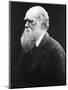 Charles Darwin, C.1870 (B/W Photo)-Julia Margaret Cameron-Mounted Giclee Print