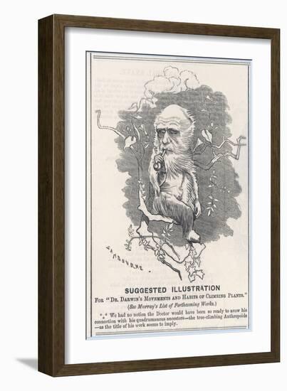 Charles Darwin, Depicted as a Tree-Climbing Anthropoid-null-Framed Art Print