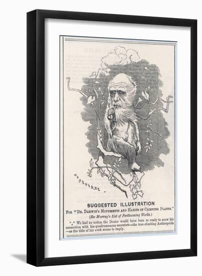 Charles Darwin, Depicted as a Tree-Climbing Anthropoid-null-Framed Art Print