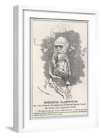 Charles Darwin, Depicted as a Tree-Climbing Anthropoid-null-Framed Art Print