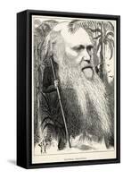 Charles Darwin, Depicted as a Wild Man of the Jungle-F. Waddy-Framed Stretched Canvas