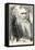 Charles Darwin, Depicted as a Wild Man of the Jungle-F. Waddy-Framed Stretched Canvas