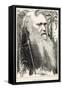 Charles Darwin, Depicted as a Wild Man of the Jungle-F. Waddy-Framed Stretched Canvas