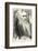 Charles Darwin, Depicted as a Wild Man of the Jungle-F. Waddy-Framed Photographic Print