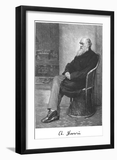 Charles Darwin, English Naturalist, 1883-null-Framed Giclee Print