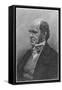 Charles Darwin, English Naturalist, 1884-null-Framed Stretched Canvas