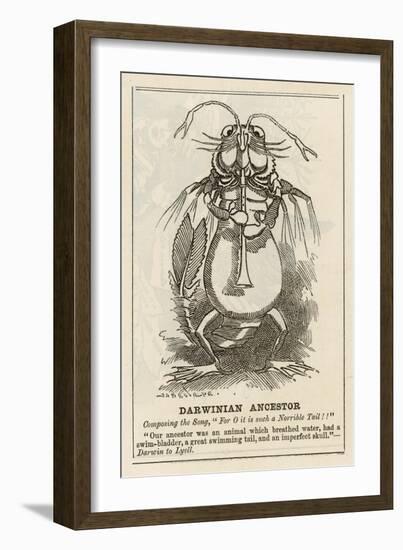 Charles Darwin English Naturalist Cartoon of the Darwinian Ancestor-Linley Sambourne-Framed Art Print