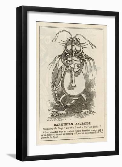 Charles Darwin English Naturalist Cartoon of the Darwinian Ancestor-Linley Sambourne-Framed Art Print