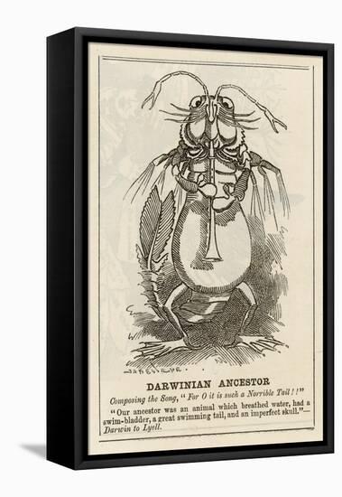 Charles Darwin English Naturalist Cartoon of the Darwinian Ancestor-Linley Sambourne-Framed Stretched Canvas