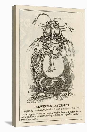 Charles Darwin English Naturalist Cartoon of the Darwinian Ancestor-Linley Sambourne-Stretched Canvas