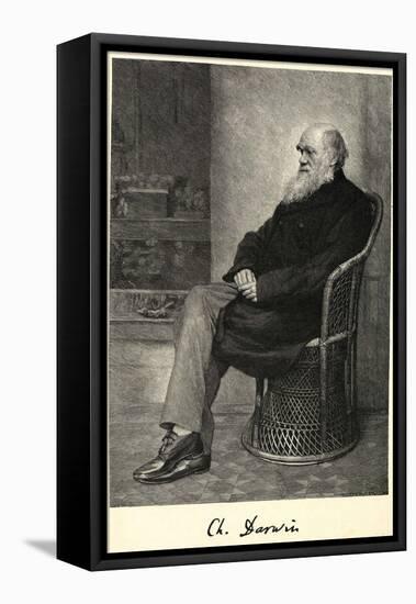 Charles Darwin English Naturalist Sitting in a Chair-Thomas Johnson-Framed Stretched Canvas