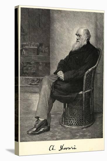 Charles Darwin English Naturalist Sitting in a Chair-Thomas Johnson-Stretched Canvas