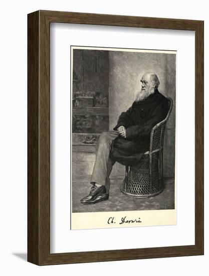 Charles Darwin English Naturalist Sitting in a Chair-Thomas Johnson-Framed Photographic Print