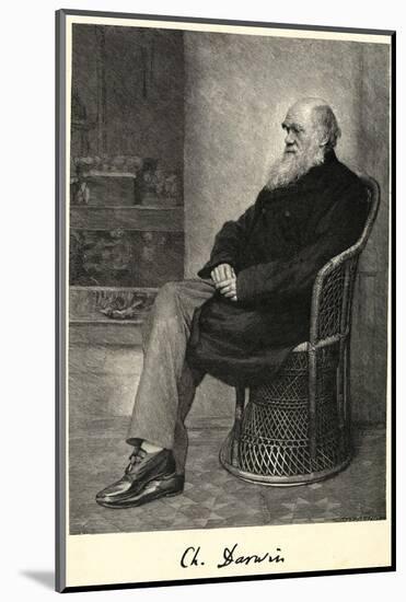 Charles Darwin English Naturalist Sitting in a Chair-Thomas Johnson-Mounted Photographic Print