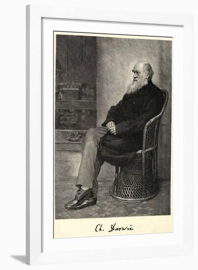 Charles Darwin English Naturalist Sitting in a Chair-Thomas Johnson-Framed Photographic Print