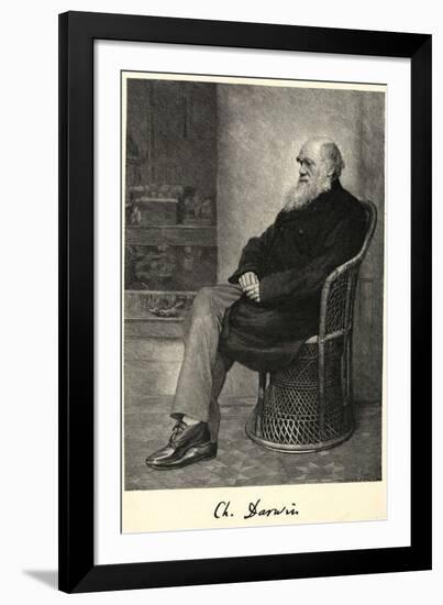 Charles Darwin English Naturalist Sitting in a Chair-Thomas Johnson-Framed Photographic Print