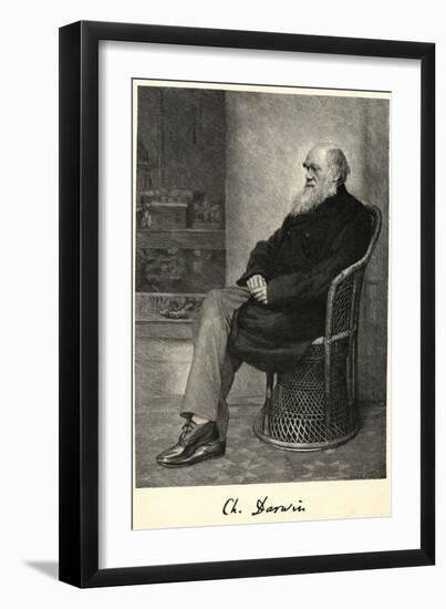 Charles Darwin English Naturalist Sitting in a Chair-Thomas Johnson-Framed Photographic Print