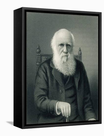 Charles Darwin, English Naturalist-Science Source-Framed Stretched Canvas