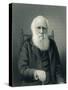 Charles Darwin, English Naturalist-Science Source-Stretched Canvas