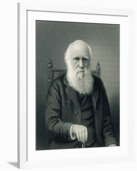 Charles Darwin, English Naturalist-Science Source-Framed Giclee Print