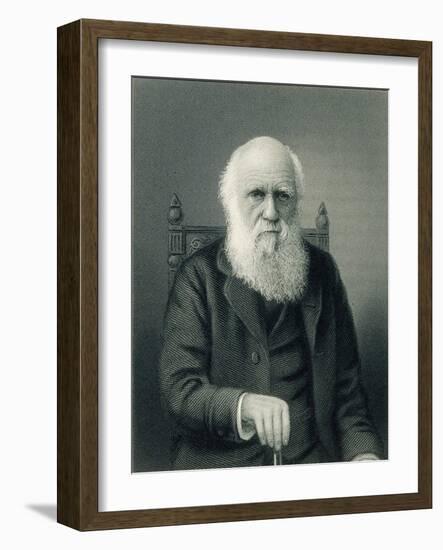 Charles Darwin, English Naturalist-Science Source-Framed Giclee Print