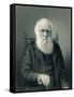 Charles Darwin, English Naturalist-Science Source-Framed Stretched Canvas