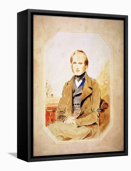 Charles Darwin, English Naturalist-George Richmond-Framed Stretched Canvas