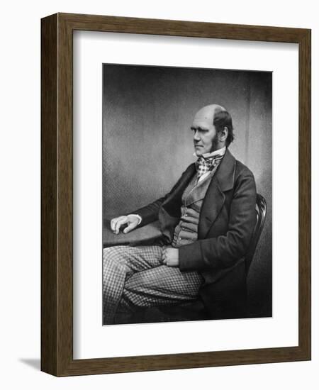 Charles Darwin (Engraving)-Maull & Fox-Framed Giclee Print