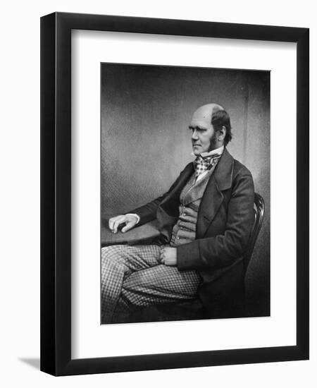 Charles Darwin (Engraving)-Maull & Fox-Framed Giclee Print