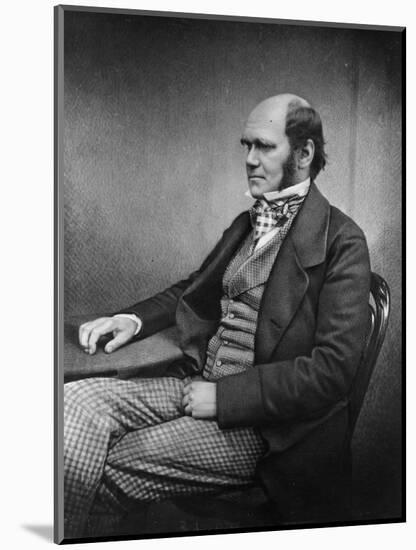 Charles Darwin (Engraving)-Maull & Fox-Mounted Giclee Print