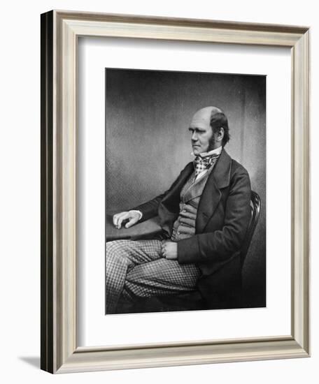 Charles Darwin (Engraving)-Maull & Fox-Framed Giclee Print