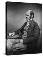 Charles Darwin (Engraving)-Maull & Fox-Stretched Canvas